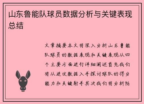 山东鲁能队球员数据分析与关键表现总结